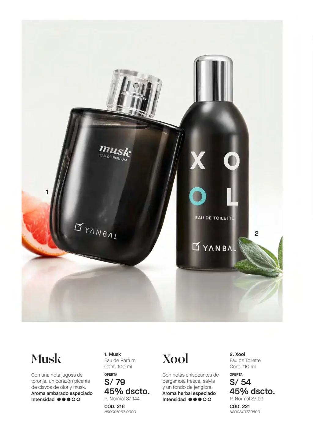 Perfume Musk / Xool